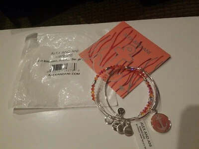 Alex & Ani Silvertone Anchor Art Infusion, Setof 2 Bangle Bracelets NWT - Image 1 of 4