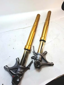 Coppia forcelle ohlins elettroniche per Ducati PanigaleV2  FL 956 - Imagen 1 de 6