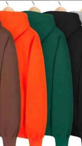Supreme Satin Applique Hooded Sweatshirt satin logo hoodie JAPAN NEW 24FW Week3 - Picture 1 of 8