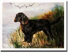 New American Water Spaniel Profile Notecard Set 12 Note Cards By Ruth Maystead