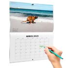 Decoration For Friends Pooches Calendar Dog Pooping Wall Calendar Calendar