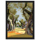 Mediterranean Landscape Of An Olive Tree Grove Framed Wall Art Picture Print A3