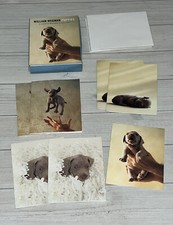 William Wegman Puppies Notecards Envelopes 7 Cards 10 Envelopes Incomplete 1999