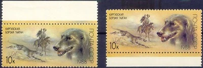 Unión Soviética 1988 10 K. Galgo Kirguís Excelente U/M Variedad Falta Color Foto 1 de 3