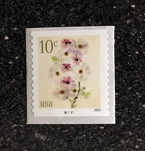 2024USA #5906 10c Poppies & Coneflowers - Plate Number Coil Single - PNC Mint - Picture 1 of 1