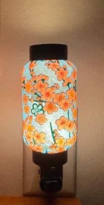 Flor de ciruelo japonés oriental Washi enchufe de pared luz nocturna regalo decoración del hogar Foto 1 de 4
