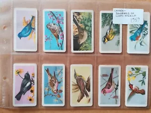 Brooke Bond Canada-Songbirds Of North America(1959)-Full set of 48 in sleeves-VG - Picture 1 of 10