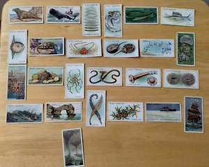 WONDERS OF THE SEA WD & HO Wills trade cards 25/50 Good condition - Picture 1 of 2