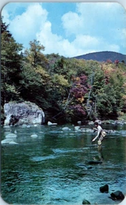 STREAM FISHING It's a Strike GREETINGS from NEWAYGO, Michigan MI Postcard - Picture 1 of 2