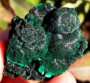 40,0g TOP! Boutique Pfau hell seltenes natürliches grünes Malachit Exemplar ie3386 - Bild 1 von 15