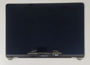 Conjunto Pantalla LCD Plateada Original MacBook Pro A1989 A2159 A2289 A2251 - Imagen 1 de 9
