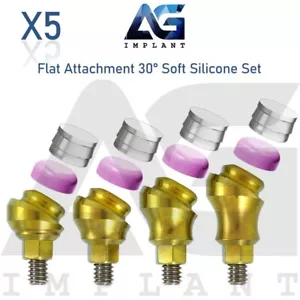 5 abgewinkelte 30° flache Aufsätze weiches Silikon Set Titan Int Sechskant - Bild 1 von 8