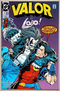 Valor #4 vs Lobo - DC Comics - Robert Loren Fleming - M.D Bright - Picture 1 of 5