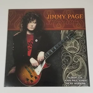 JIMMY PAGE LED ZEPPELIN PLAYIN UP A STORM 12" VINYL RECORD LP NUMBERED SEALED - Picture 1 of 4