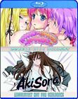 DVD Anime Sora Yori MO Tooi Basho Vol.1-13 End English Subs Region