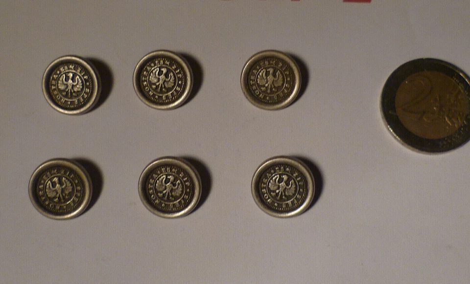 6 BOTTONI GILET PANCIOTTO AUSTRIA - TIROLO COLOR ARGENTO OPACO DIAMET 1,5 CM - Immagine 1 di 1