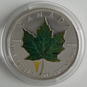 Kanada 5 Dollars 2007 Maple Leaf - Sommer, Privy, 1 Oz Silber - Bild 1 von 2