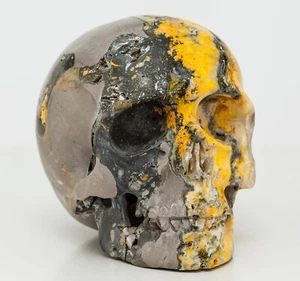 Escultura tallada piedra cráneo jaspe abejor abejorro decoración 101 mm 822 g B1673 - Imagen 1 de 10