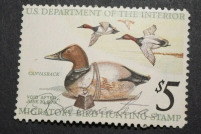 1975 US Stamp Scott #RW42 - $5 - Duck Hunting Stamp - Used/NH/OG/VF - Image 1 of 2