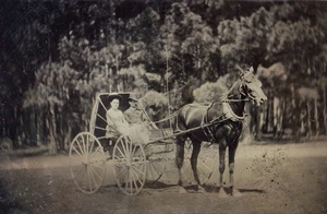 ANTICA FOTO AMERICANA TINTYPE coppia in carrozza passeggino cavallo Surrey - Foto 1 di 2