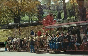 Postal de calle Roscoe Village Coshocton Ohio OH dibujado por caballos blanca mujer - Imagen 1 de 2