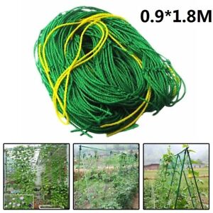 Garden Climbing Net Plant Support Plastic Green Bean Growing Rope High Quality