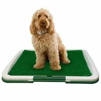 PET Dog Toilet Mat Indoor Restroom Training Grass Potty Pad Loo Tray