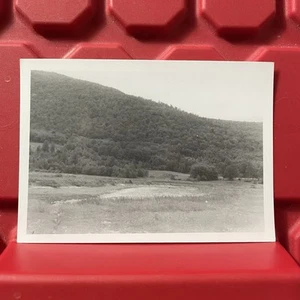 Random Field With Hills In Background 4 1/2 x 3 1/4 Photograph C Vintage 1956 - Picture 1 of 2