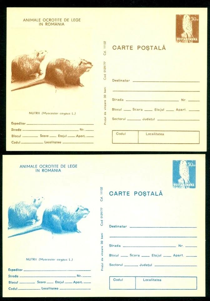 1977 Nutria,Myocastor coypus,Animal,European Nature Protection,Romania,card - Image 1 of 1
