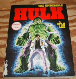 Kaminbuch Incredible Hulk - Bild 1 von 4