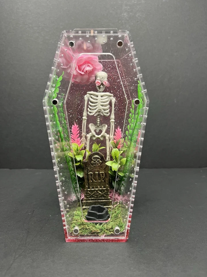 Gabinete de aranha saltadora caixão esqueleto rosa  - Imagem 1 de 1