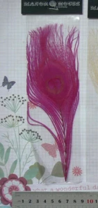 PLUMA DE PAVO REAL Individual - ROSA ROSA - aprox 18-21 cm de largo 1 por paquete MH Fea - Imagen 1 de 4
