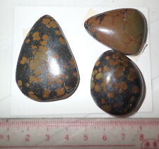 Turquoise Stone Flat Free Form Cabochon 187 Carat 3 pieces 37.4 gram