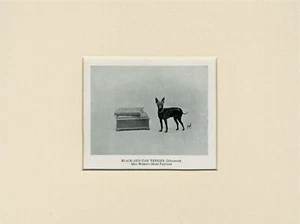 ENGLISH TOY BLACK & TAN TERRIER OLD 1950 NAMED DOG PRINT MOUNTED READY TO FRAME - Picture 1 of 1