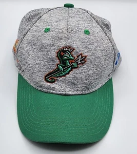 Norfolk Tides Snapback Hat Gray Green Jersey Pepsi The Hampton Roads Show - Picture 1 of 10