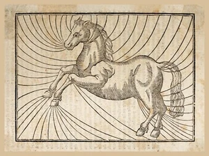 13550. Póster de decoración de pared. Diseño interior de oficina en casa. Dibujo medieval de caballos - Imagen 1 de 1