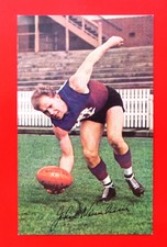 1965 MOBIL VFL Footy Photo:  JOHN NEWNHAM  (Fitzroy) #29  -  N/MINT