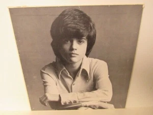 Vtg. Young Donny Osmond Promo Cardboard Stand Up Poster - Picture 1 of 7