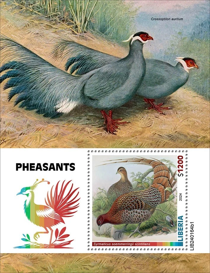 Estampillas de faisanes pájaros MNH 2024 Liberia S/S Foto 1 de 1