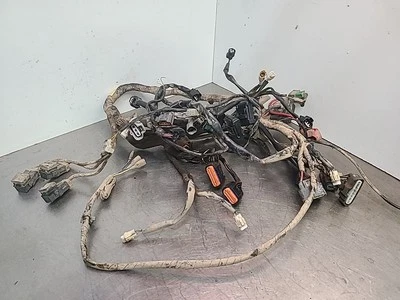 Arnés de cables principal Yamaha Grizzly 700 2010 OEM 28P-82590-00-00 Foto 1 de 4