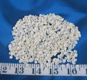 ~ Baby Cup Shells ~ Vintage ~ 1,000+ White ~ Shellcraft ~ Sailor's Valentines ~ - Picture 1 of 5