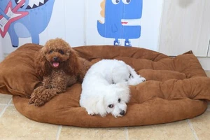 Multifunktionales Schlafsofa für Hunde / Katzen Wildlederimitat echtes weiches Kissen S - XL  - Bild 1 von 16