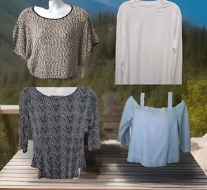 Bundle Lot of 4 Women Top Blouse Tshirt Size Large NY Collection Charlotte Russ - Picture 1 of 23