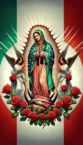 Manta ultrasuave y lujosa de Nuestra Señora de Guadalupe - Bild 1 von 2