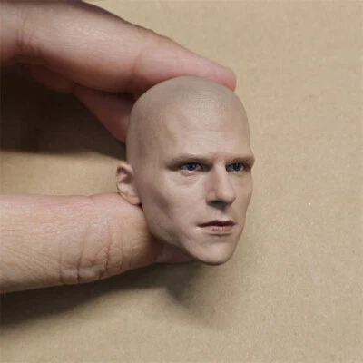 1/6 Delicate Painted The Smallville Scale Lex Luthor Sculpt Head Fit 12" Figure - Image 1 of 3