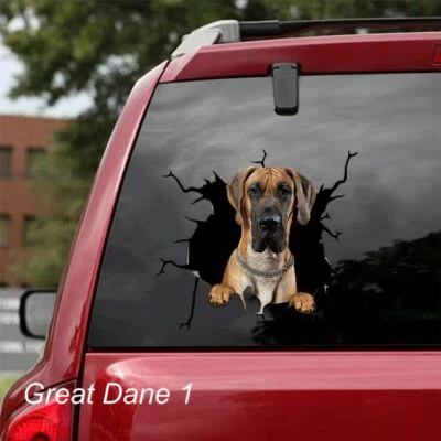 LARGE-SIZED CAR DECALS - GREAT DANE - 3 CHOICES - Image 1 of 4