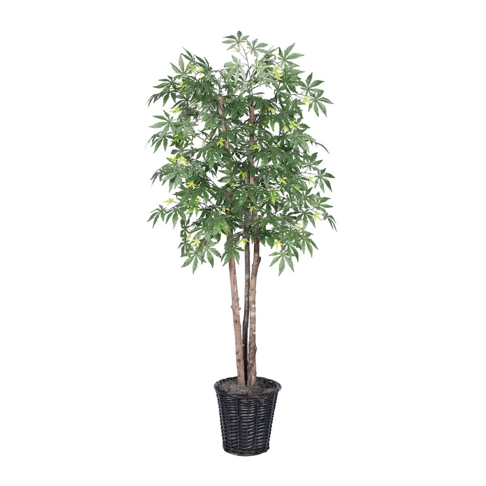Vickerman 6' Japanese Maple Deluxe - TDX1860 Foto 1 de 1