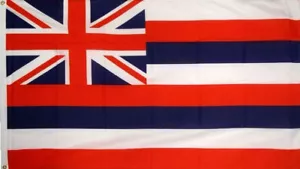 HAWAII FLAG 5' x 3' USA United States of America American US State Flags - Picture 1 of 1