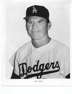 Foto de prensa de los Dodgers de Los Ángeles Red Adams 8 x 10 1969 fotografía brillante - Imagen 1 de 1
