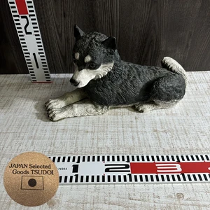 Siberian Husky Puppy Dog Japanese Statue H9.5" Lifelike Wolf Look 000605 - Picture 1 of 19
